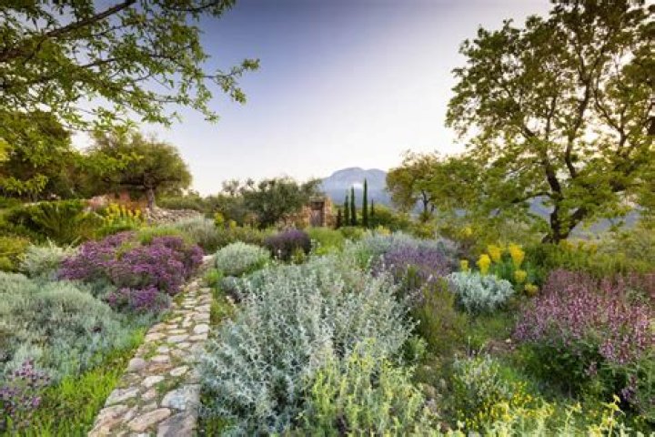 
Who Is Tania Compton? Garden Designer Biography Details To Explore 