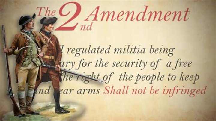 
Who Is William Hogeland? 2nd Amendment Explained On ‘The Last Word’ Why Kids Are Being Murdered In Their Classrooms 