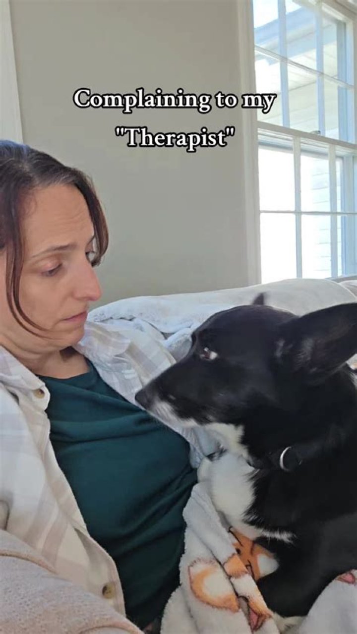Who Killed Mommy Farmer’s Dog, Corgi Boone?