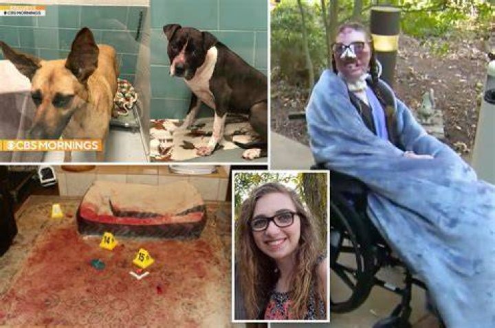 
Why Was Samuel Cartwright From Fresno Arrested? Man Mauled To Death By Seven Dogs, Case Details 